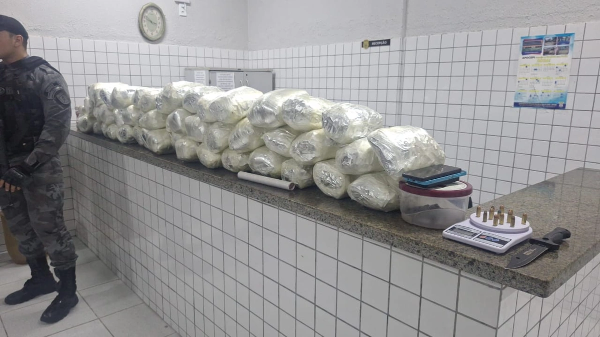 Mais de 28 kg de skunk são apreendidos durante operação no litoral do Piauí