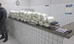 Mais de 28 kg de skunk são apreendidos durante operação no litoral do Piauí