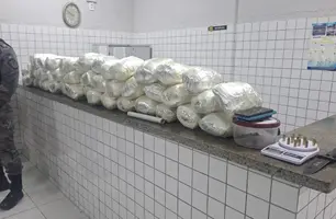 Mais de 28 kg de skunk são apreendidos durante operação no litoral do Piauí (Foto: Divulgação/PMPI)