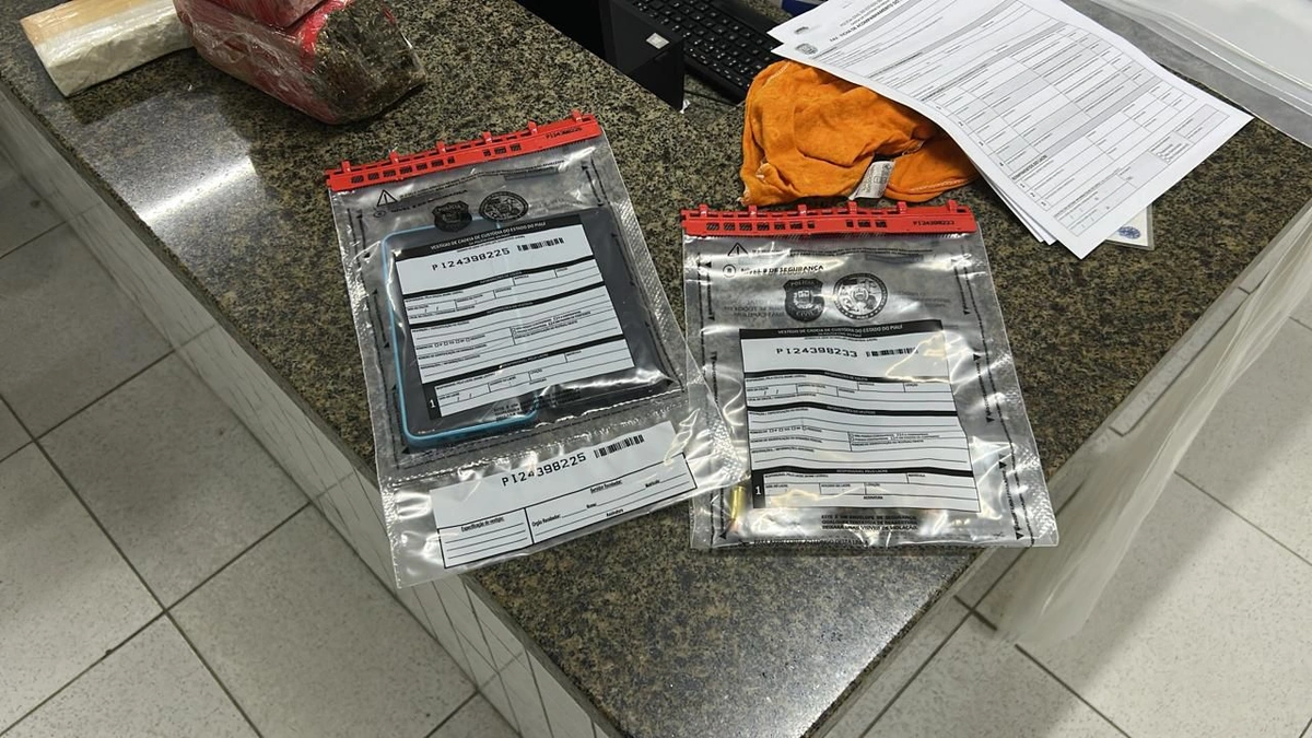 Mais de 28 kg de skunk são apreendidos durante operação no litoral do Piauí