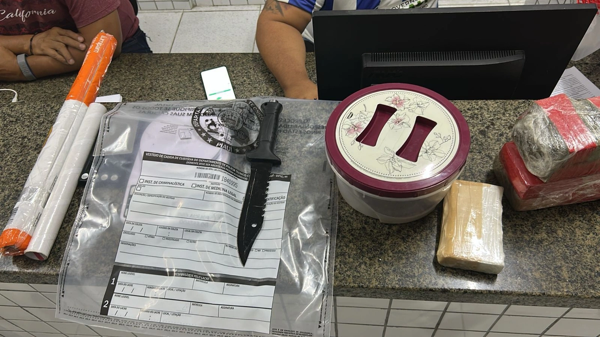 Mais de 28 kg de skunk são apreendidos durante operação no litoral do Piauí