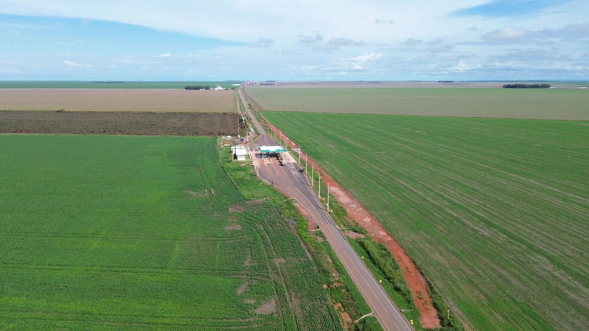 Mais de 569 mil veículos circularam na Transcerrados e Estrada Palestina em 2025