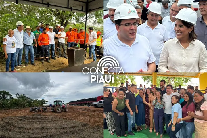 Monsenhor Gil recebe mudas e avança com duplicação da BR-316