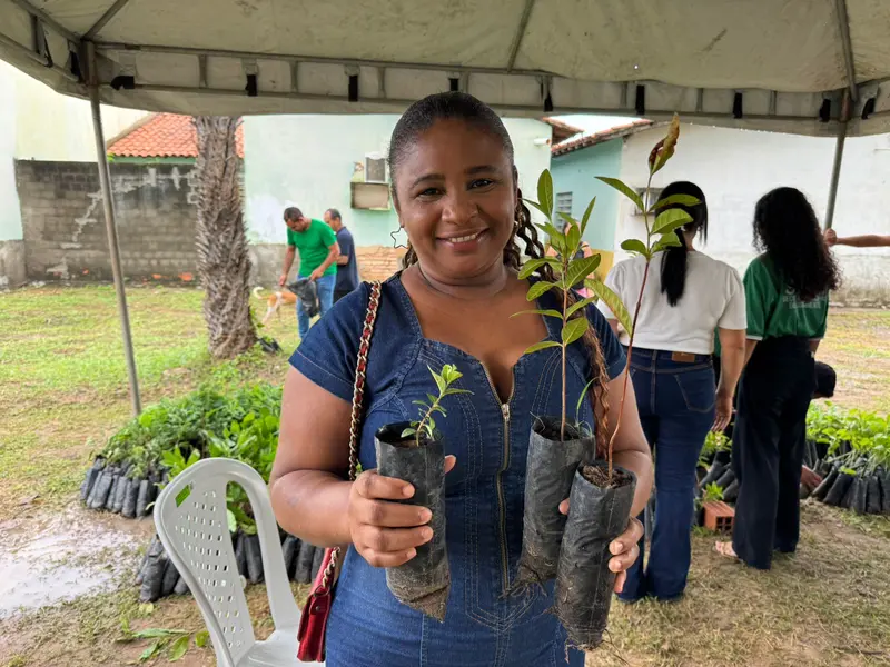 Monsenhor Gil recebe mudas e avança com duplicação da BR-316