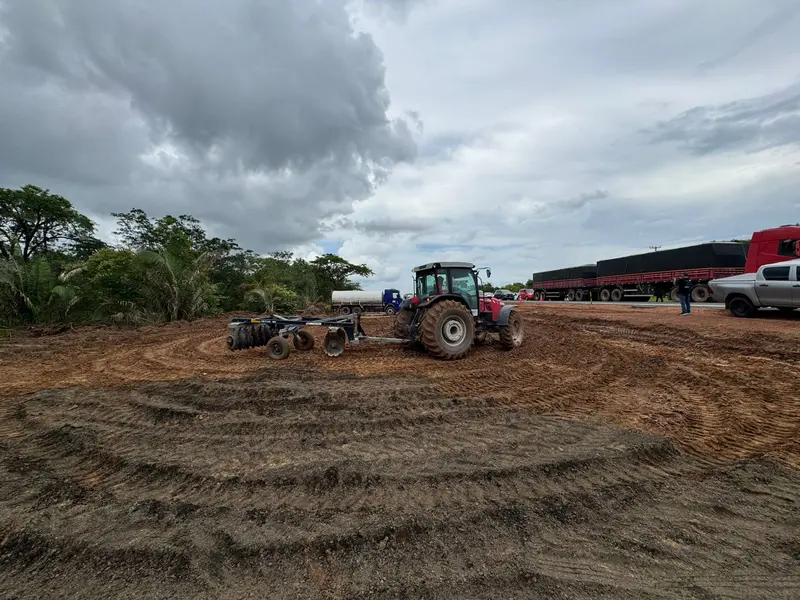 Monsenhor Gil recebe mudas e avança com duplicação da BR-316