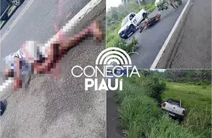 Motociclista tem perda destroçada após colisão com carro na BR-316 (Foto: Reprodução)