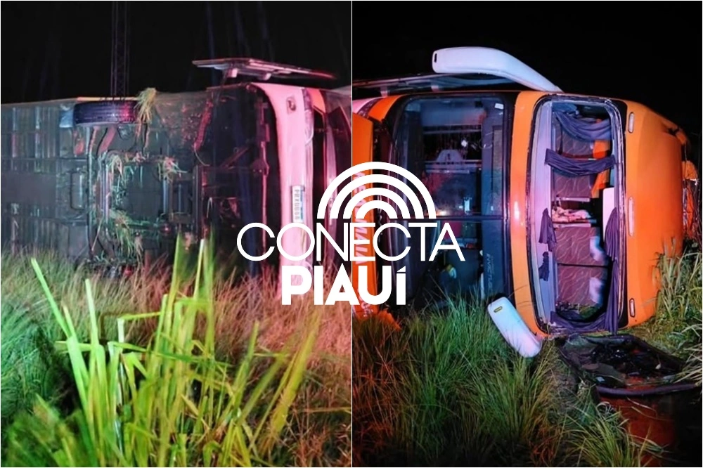 Ônibus que saiu do Piauí tomba na Bahia e deixa passageiros feridos