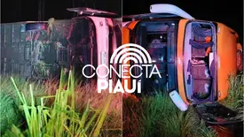 Ônibus que saiu do Piauí tomba na Bahia e deixa passageiros feridos (Foto: Reprodução)