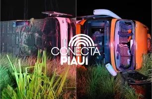 Ônibus que saiu do Piauí tomba na Bahia e deixa passageiros feridos (Foto: Reprodução)