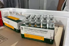 Piauí recebe primeiras doses da vacina contra a dengue para profissionais da saúde