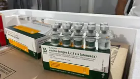 Piauí recebe primeiras doses da vacina contra a dengue para profissionais da saúde (Foto: Reprodução)