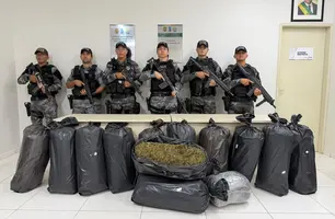 PM intercepta carreta e apreende 121 kg de maconha na PI-143, no Sul do Piauí (Foto: Reprodução)
