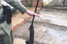 Polícia prende suspeito de atirar em cachorro de vizinho na zona rural de Teresina