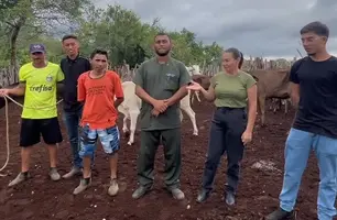 Prefeitura de Coronel José Dias inicia inseminação artificial no rebanho bovino (Foto: Reprodução)