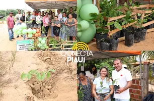 Prefeitura de Curimatá distribui mudas nativas e frutíferas (Foto: Reprodução)