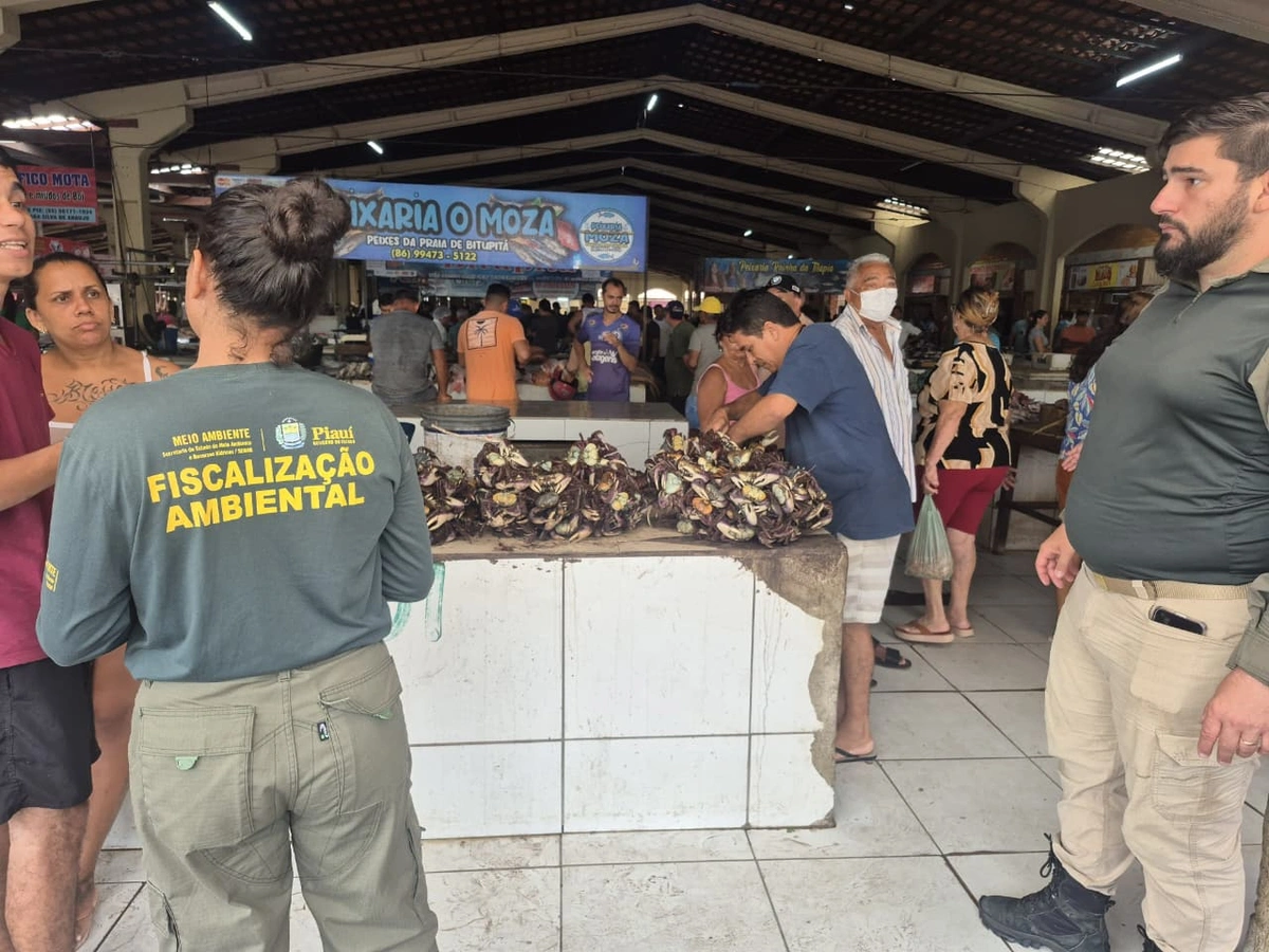 Quase 900 caranguejos salvos no defeso: a maior apreensão da história vira gesto concreto de proteção ao mangue no Piauí