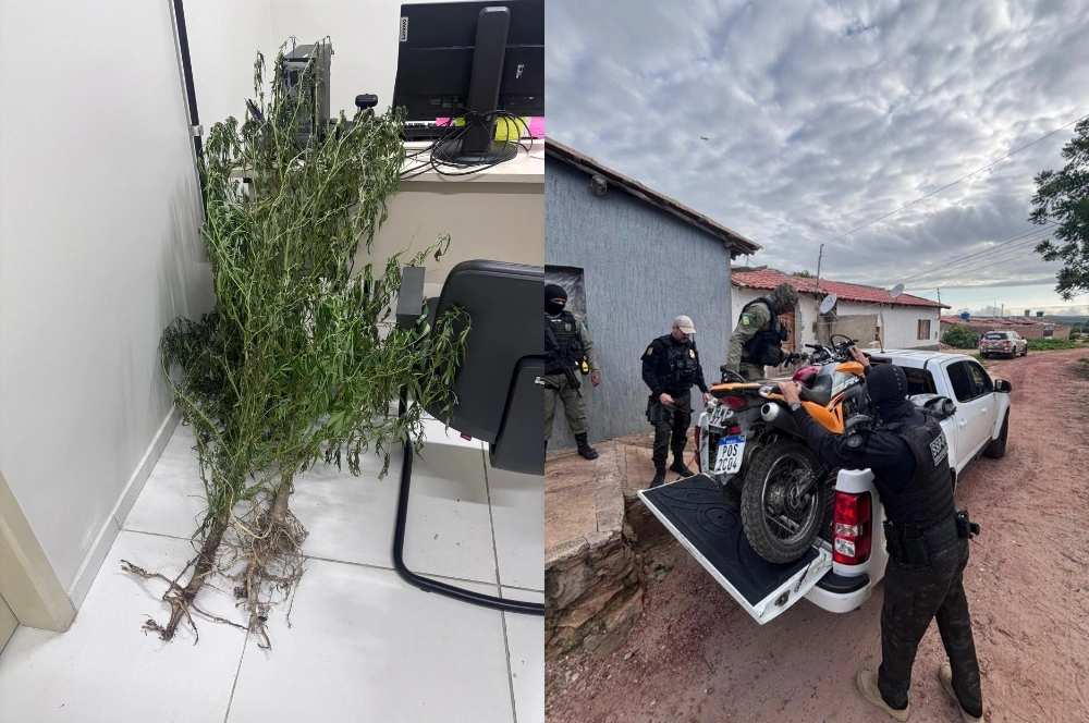 Quatro são presos durante força-tarefa contra o tráfico em Buriti dos Lopes