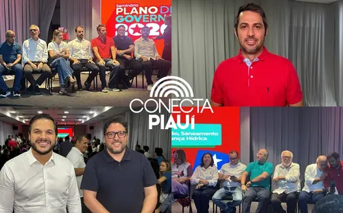 Rafael Fonteles avança na construção do Plano de Governo com seminário