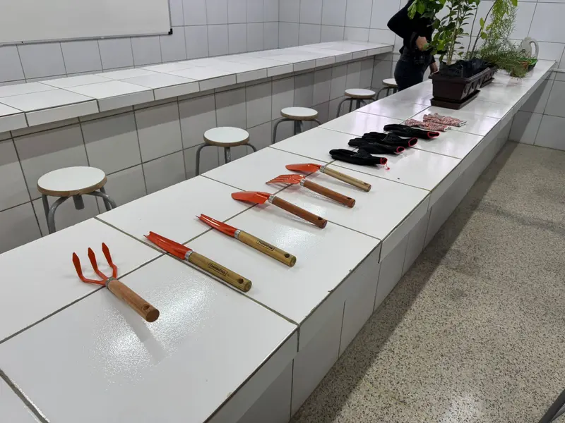 Rafael Fonteles inaugura brinquedopraça e escolas em Lagoa do Piauí