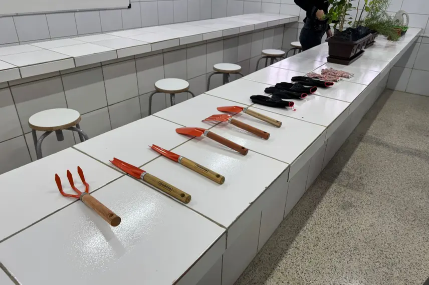 Rafael Fonteles inaugura brinquedopraça e escolas em Lagoa do Piauí