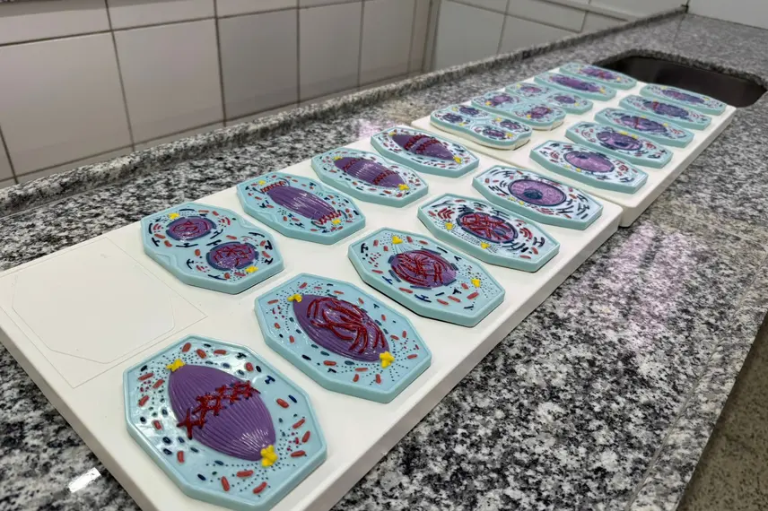 Rafael Fonteles inaugura brinquedopraça e escolas em Lagoa do Piauí