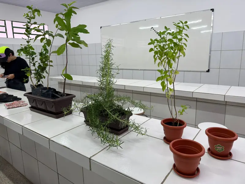 Rafael Fonteles inaugura brinquedopraça e escolas em Lagoa do Piauí