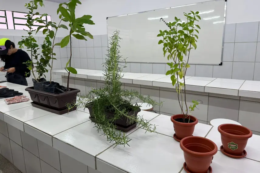 Rafael Fonteles inaugura brinquedopraça e escolas em Lagoa do Piauí