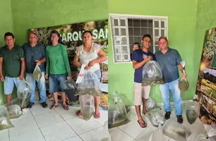 São João do Arraial beneficia produtores com entrega de alevinos (Foto: Reprodução)