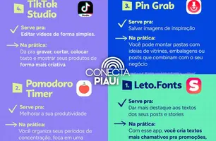 Sebrae-PI indica aplicativos gratuitos para apoiar microempreendedores (Foto: Reprodução)