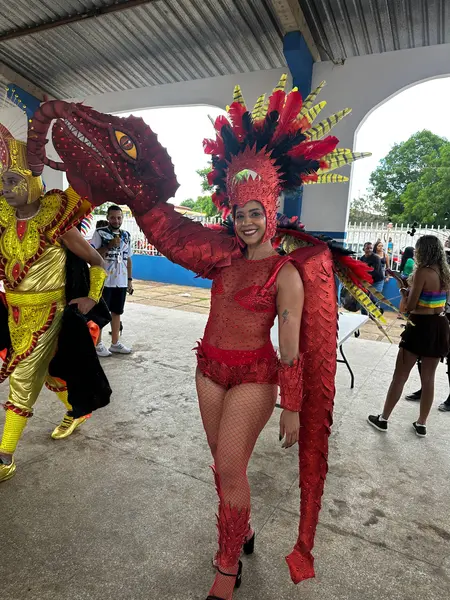 Segundona de Carnaval movimenta foliões em Demerval Lobão