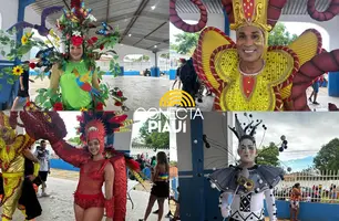 Segundona de Carnaval movimenta foliões em Demerval Lobão (Foto: Conecta Piauí)