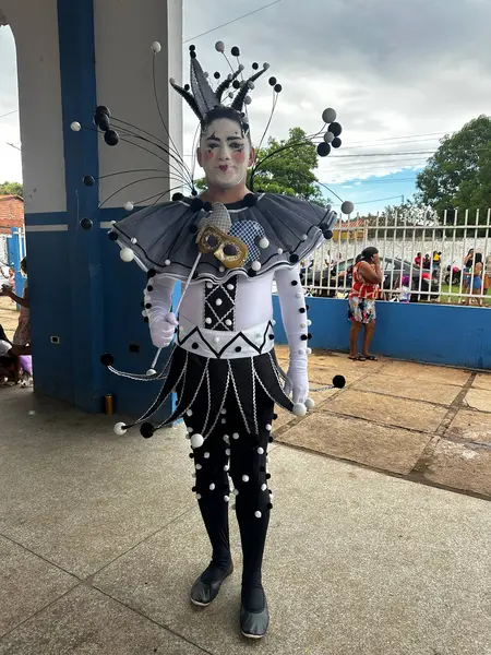 Segundona de Carnaval movimenta foliões em Demerval Lobão