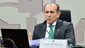 Senador Marcelo Castro (Foto: Geraldo Magela/Agência Senado)