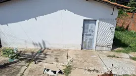 SSP-PI resgata cães em situação de maus-tratos na zona Sudeste de Teresina (Foto: Reprodução)