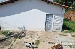 SSP-PI resgata cães em situação de maus-tratos na zona Sudeste de Teresina (Foto: Reprodução)