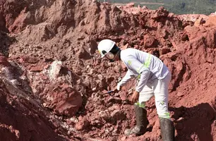Terras raras (Foto: Mineração Serra Verde)