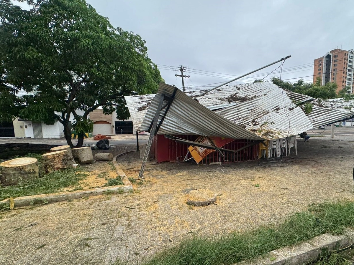 Teto de trailer fica destruído após árvore cair na zona Leste de Teresina