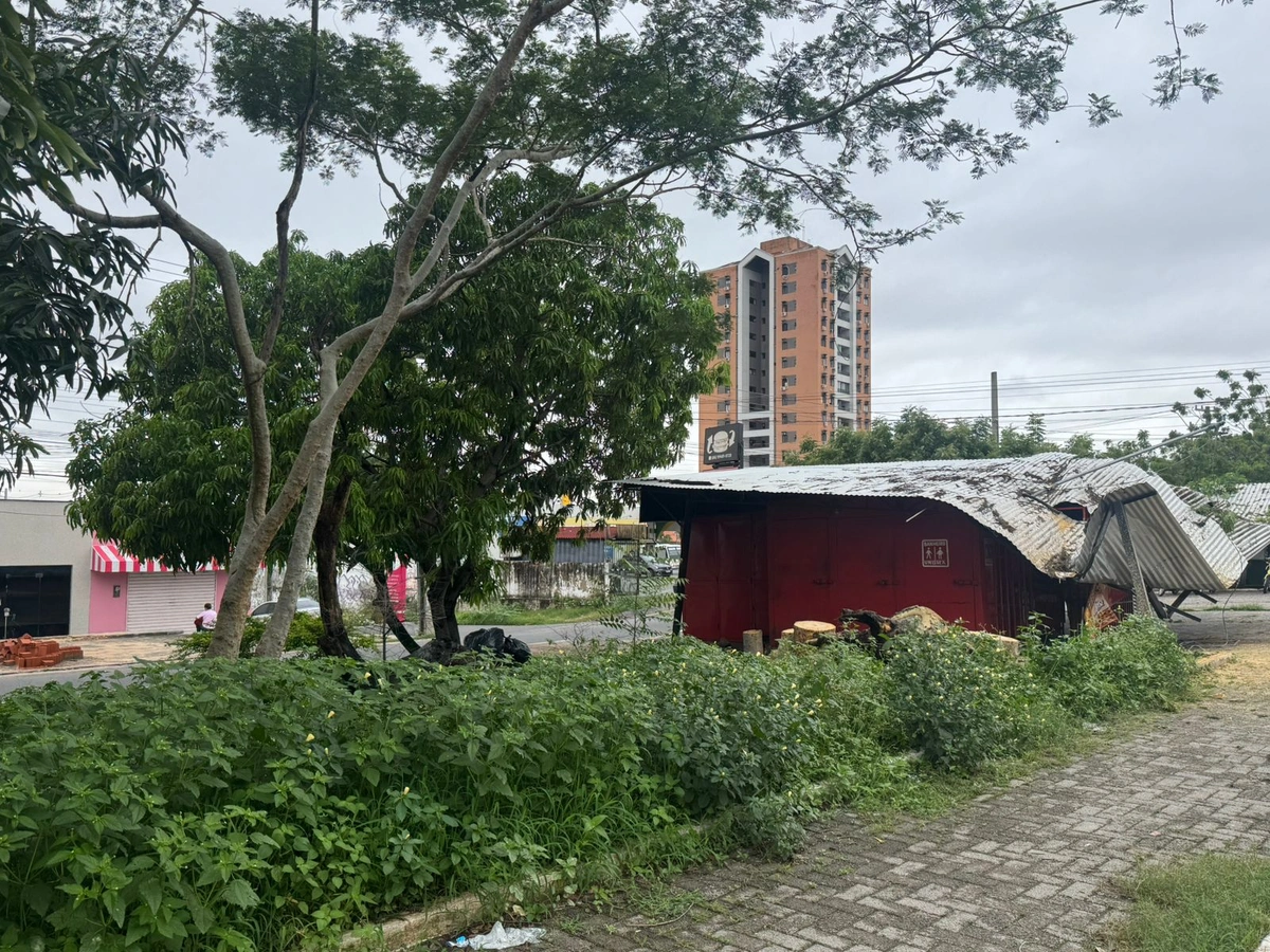 Teto de trailer fica destruído após árvore cair na zona Leste de Teresina