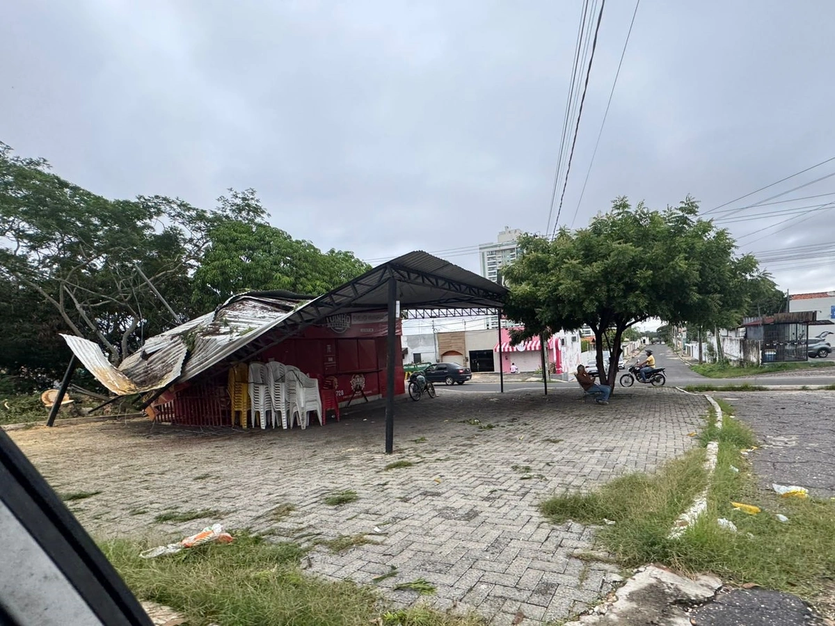 Teto de trailer fica destruído após árvore cair na zona Leste de Teresina