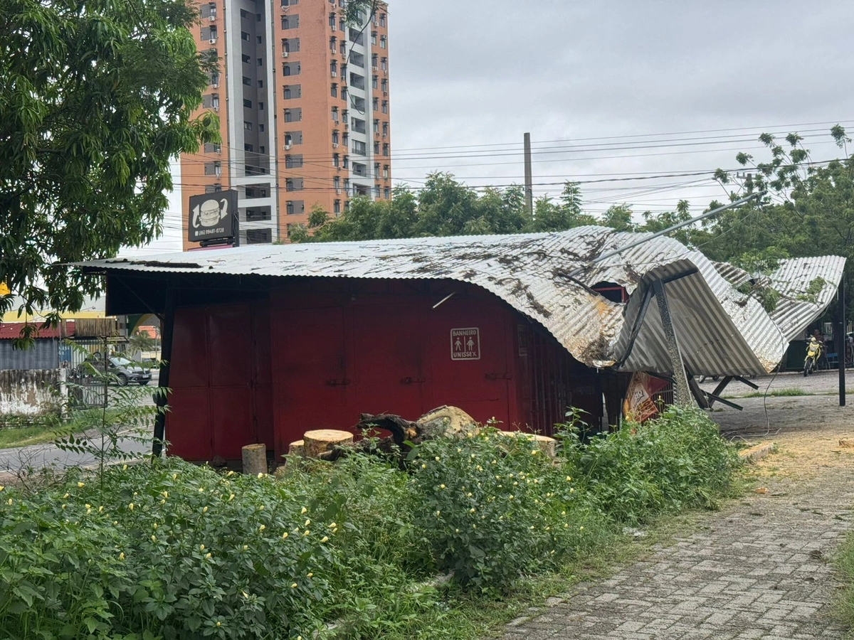 Teto de trailer fica destruído após árvore cair na zona Leste de Teresina