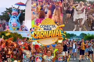 Vaca Atolada é eleito o melhor bloco do Carnaval de Teresina em 2026 (Foto: Reprodução)