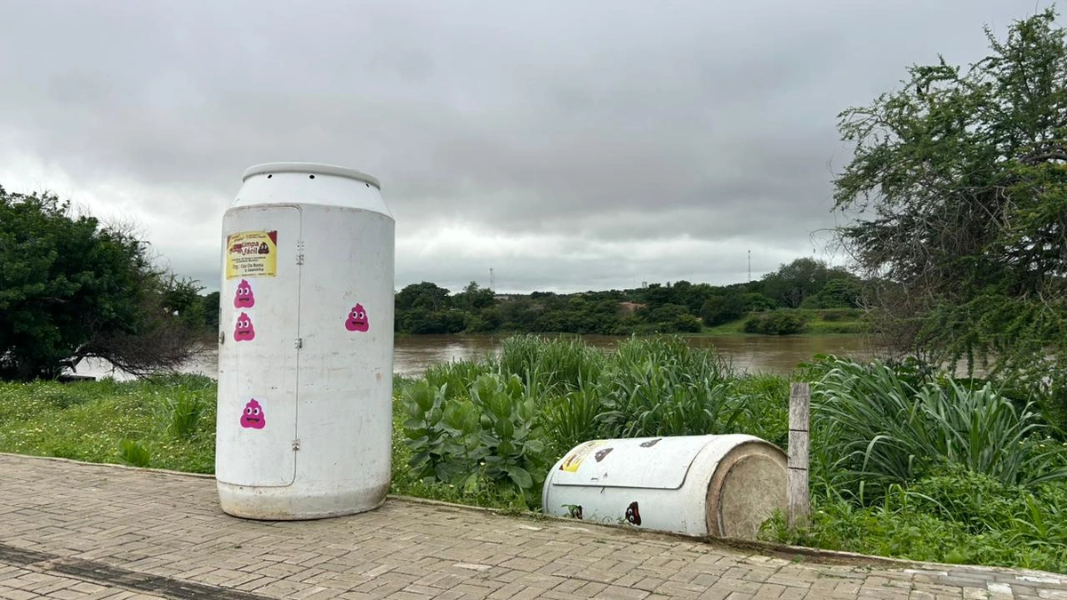 Vendaval e temporal: Floriano contabiliza estragos após noite de fortes chuvas