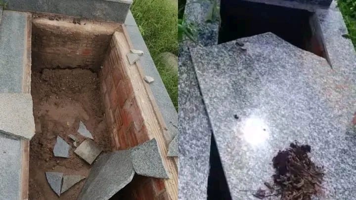 Violação de túmulos no cemitério de José de Freitas gera indignação