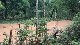 A Secretaria de Meio Ambiente e Recursos Hídricos do Piauí (Semarh) concluiu a execução de projetos de recuperação de áreas degradadas (Foto: Reprodução/ Semarh)