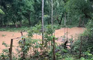 A Secretaria de Meio Ambiente e Recursos Hídricos do Piauí (Semarh) concluiu a execução de projetos de recuperação de áreas degradadas (Foto: Reprodução/ Semarh)