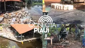 Ações são tomadas após carreta com 24 mil litros de produtos químicos tombar no PI (Foto: Reprodução)