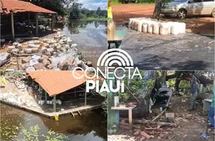 Ações são tomadas após carreta com 24 mil litros de produtos químicos tombar no PI (Foto: Reprodução)