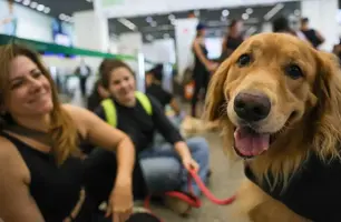 Alepi aprova na CCJ projeto que permite sepultamento de cães e gatos em cemitérios (Foto: Reprodução/ Agência Brasil)