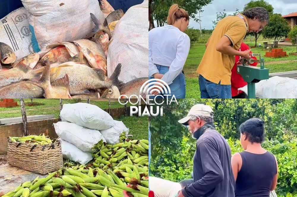 Alto Longá realiza entrega de peixes e milho a comunidades na zona rural