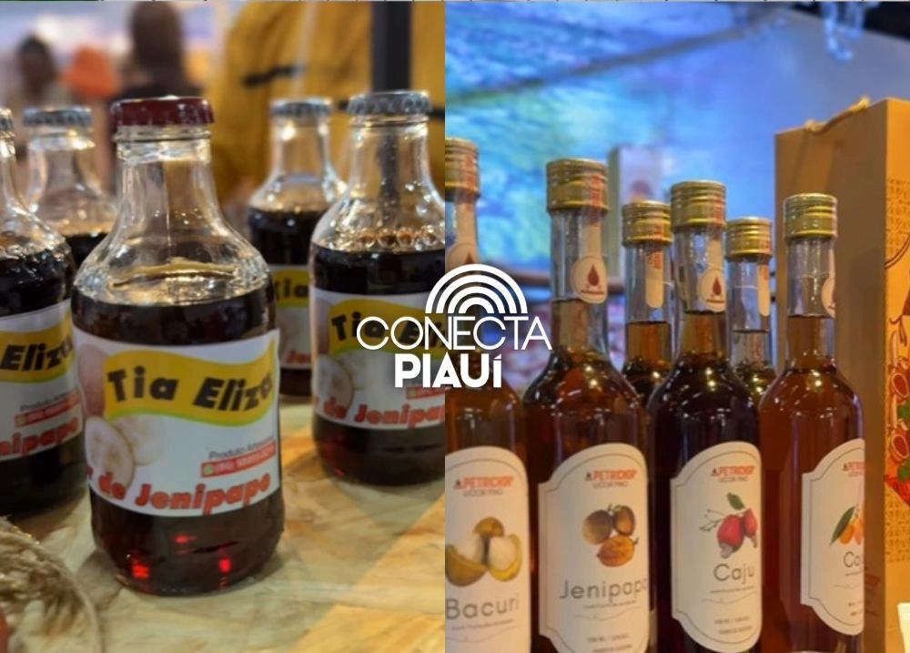 Alvorada do Gurguéia se destaca na Fetur com turismo e riquezas naturais